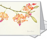 #0104 - Paradise Jewel "Flame Orchid"