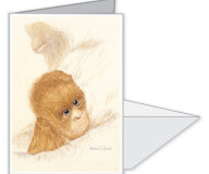 #0060 - Kemela, a Baby Orangutan