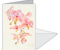 #0109 - Beautiful Pale Orchids