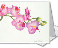 #0106 - Phalaenopsis Pink Orchid