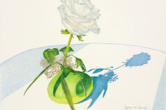 #0089 - Single White Rose