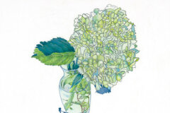 #0056 - Hydrangea in Vase