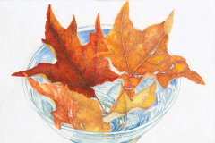 #0024 - Leaves in Glass Bowl